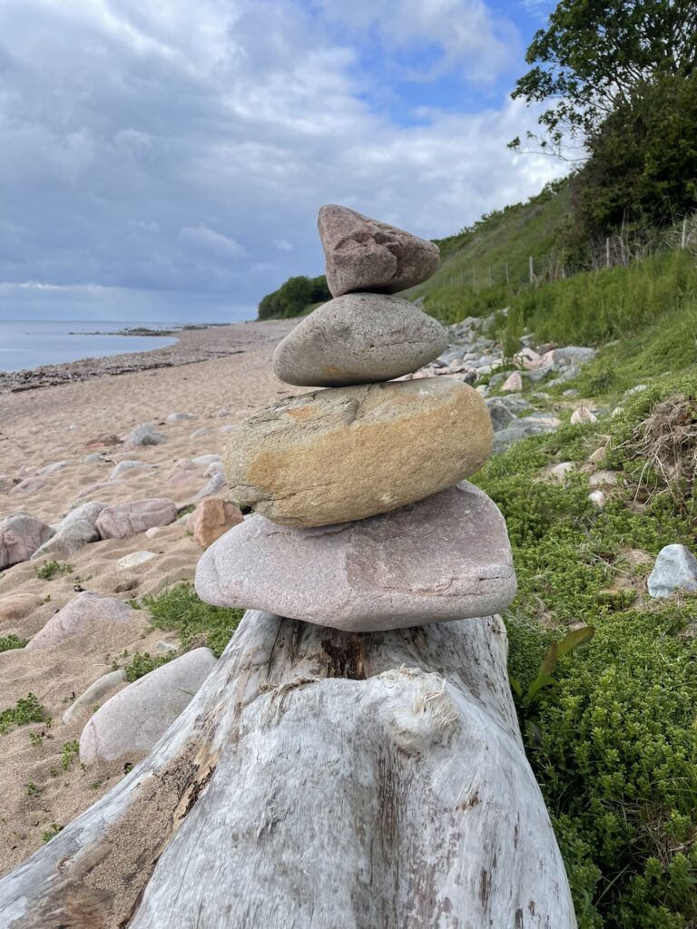 Helmsdale beach. Sunday 9th June. Driftwood and pebbles.